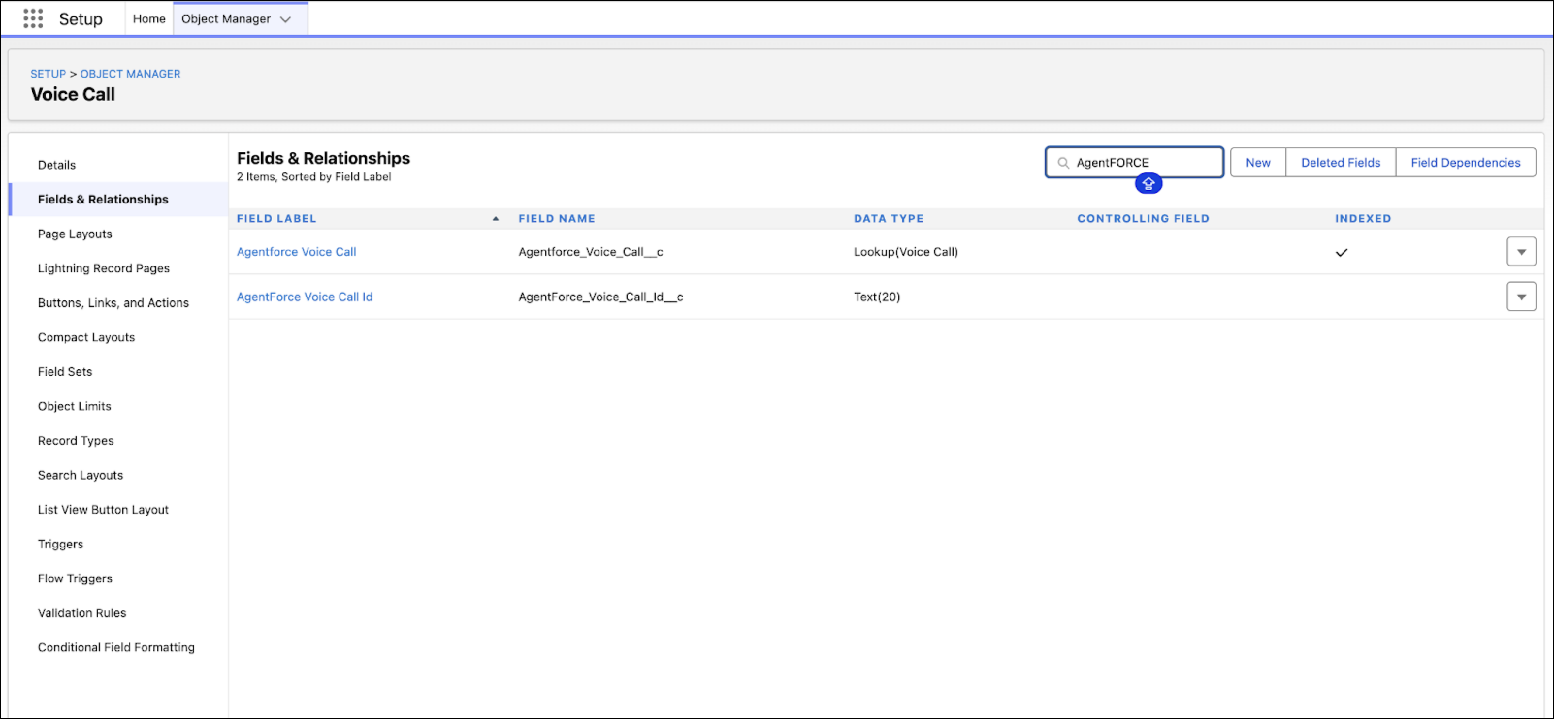 The Fields & Relationships page shows the two custom fields.