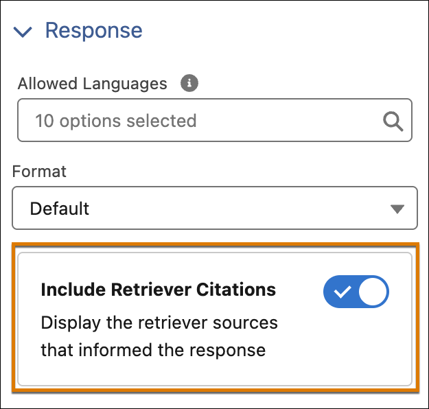 Toggle to turn on citations on the Details tab in the Template Settings panel.