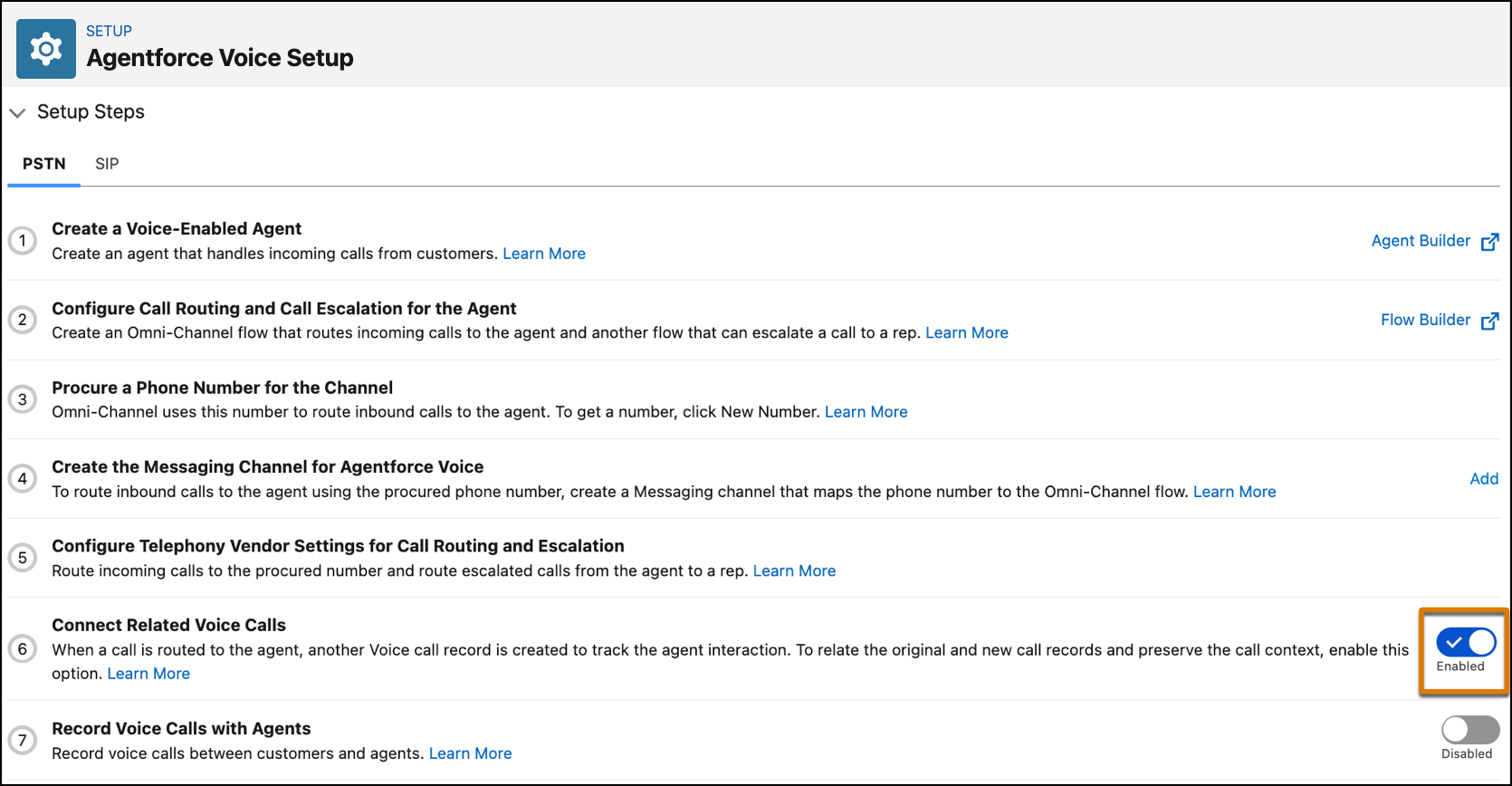 The setup page shows that the Connect Related Voice Calls option is enabled.