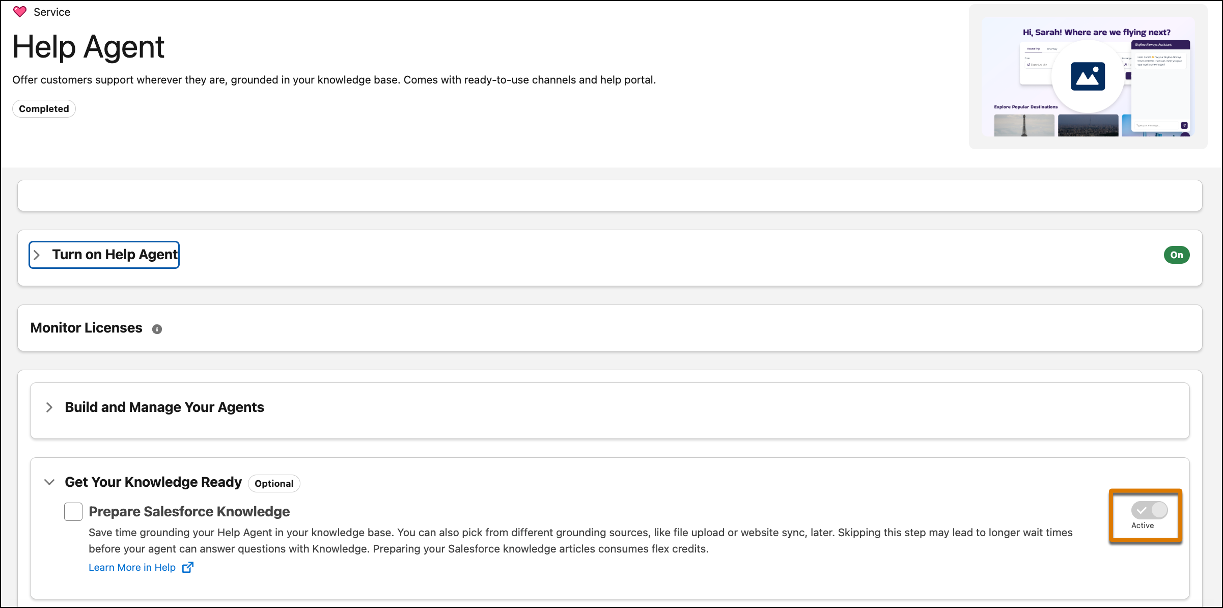 Help Agent Salesforce Go page shows Prepare Salesforce Knowledge toggle