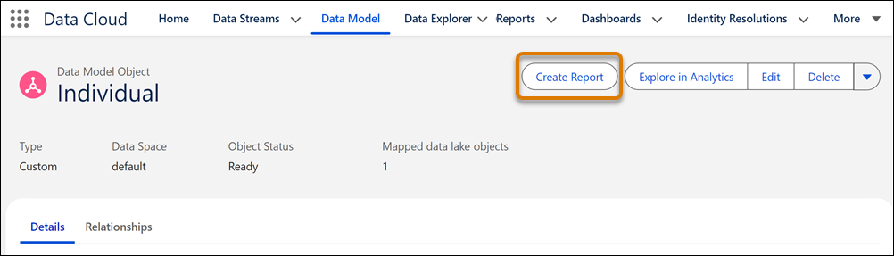 Data Cloud オブジェクトタブからのレポートの作成