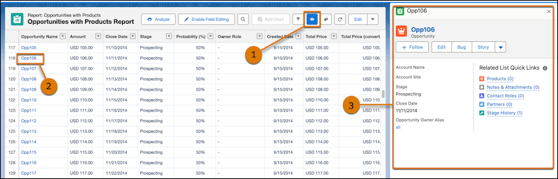 Utilizzo di Anteprima record nei rapporti Lightning
