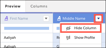 Hide column option highlighted on column menu