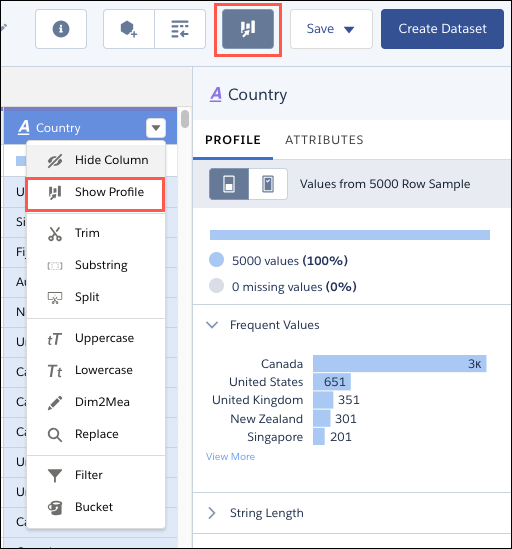 Column profile pane in recipe