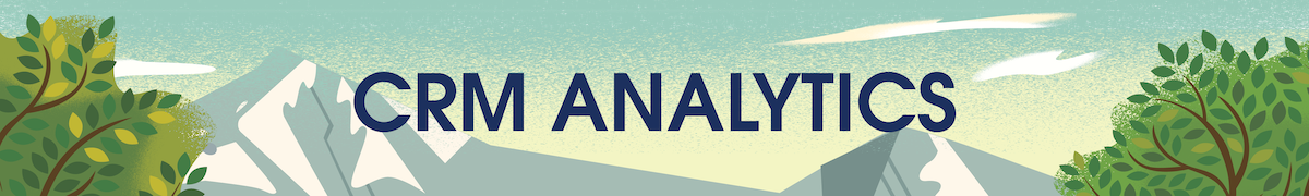 CRM Analytics-banneret