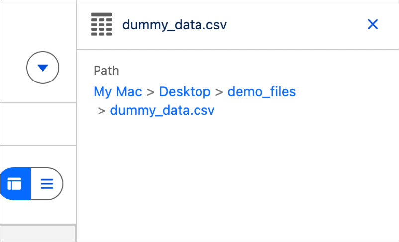 Bestandspad voor een Google Drive-bestand.
