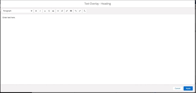 Image of the Rich Text Editor window expanded to full size.