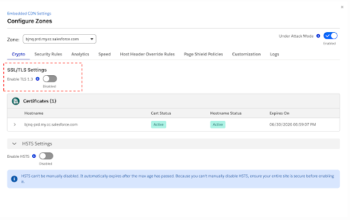 SSL/TLS Settings section showing the Enable TLS 1.3 toggle with the state indicator in the Crypto tab.