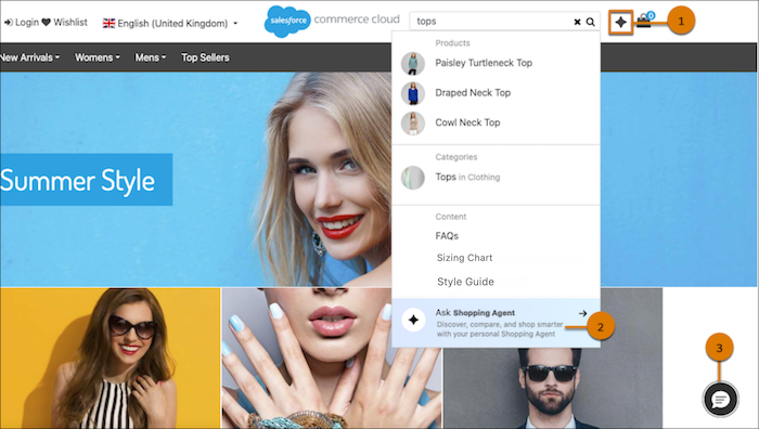 Posizioni di lancio di Shopper Agent disponibili per gli storefront SFRA
