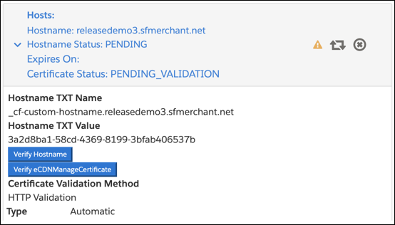 Copie el texto de verificación que se muestra a su propio portal DNS.