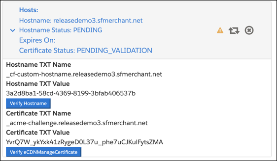 Copie el texto de verificación que se muestra para el certificado y el nombre de host a su propio portal DNS.