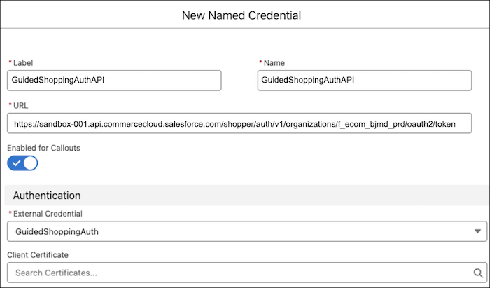 New named credential for authentication