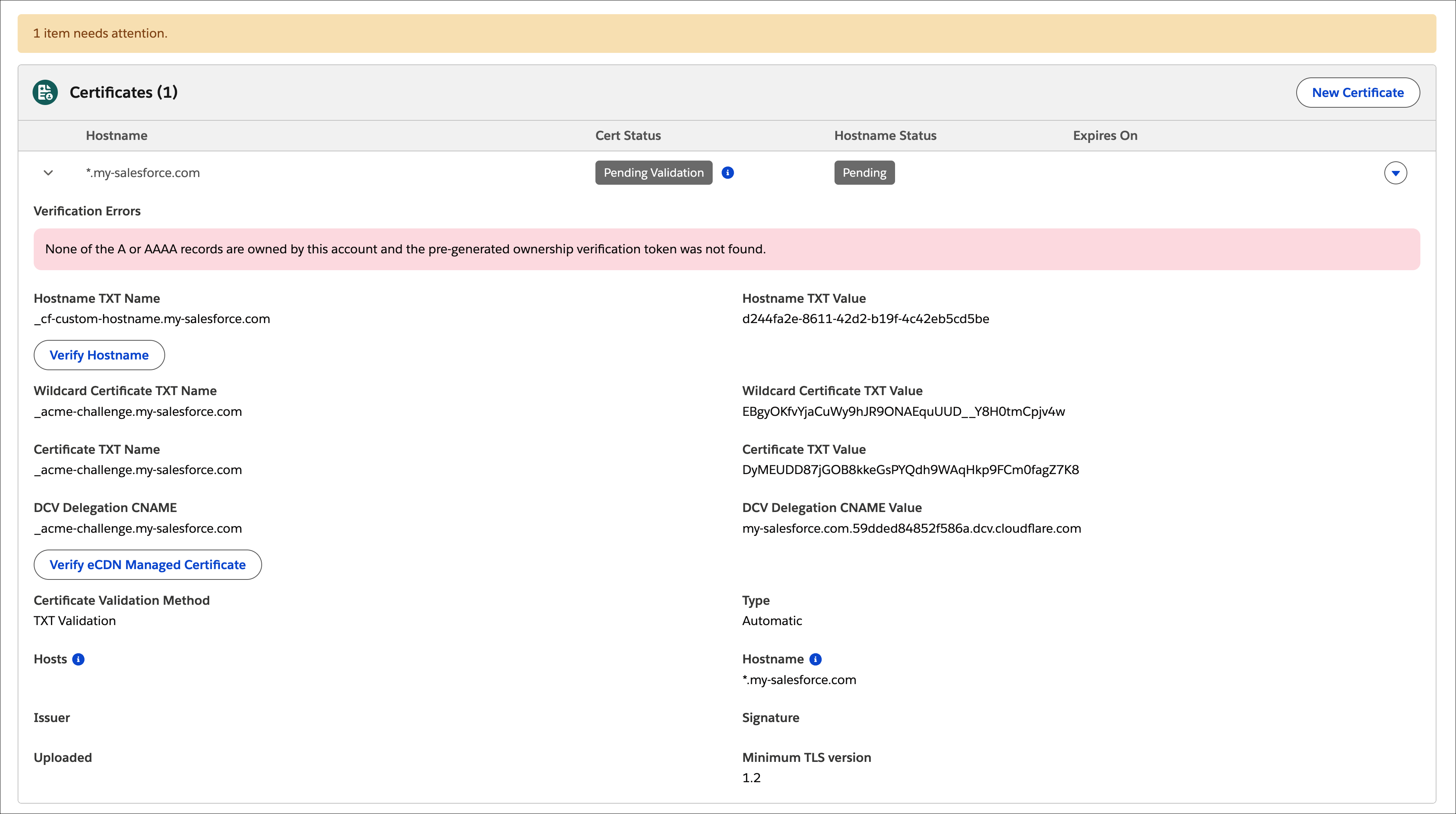 Certificates table showing wildcard hostname in Pending Validation with DNS records required for verification