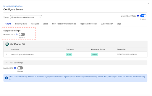 SSL/TLS Settings section showing the Enable TLS 1.3 toggle with the state indicator in the Crypto tab.