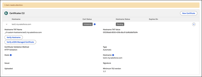 Certificates table showing hostname with Initiating status and hostname TXT validation values to copy