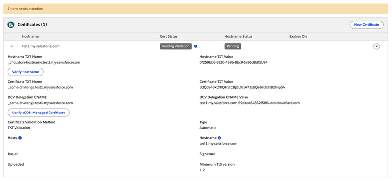 Certificates table showing hostname with Pending Validation status and certificate TXT and hostname TXT values to copy, plus DCV Delegation CNAME