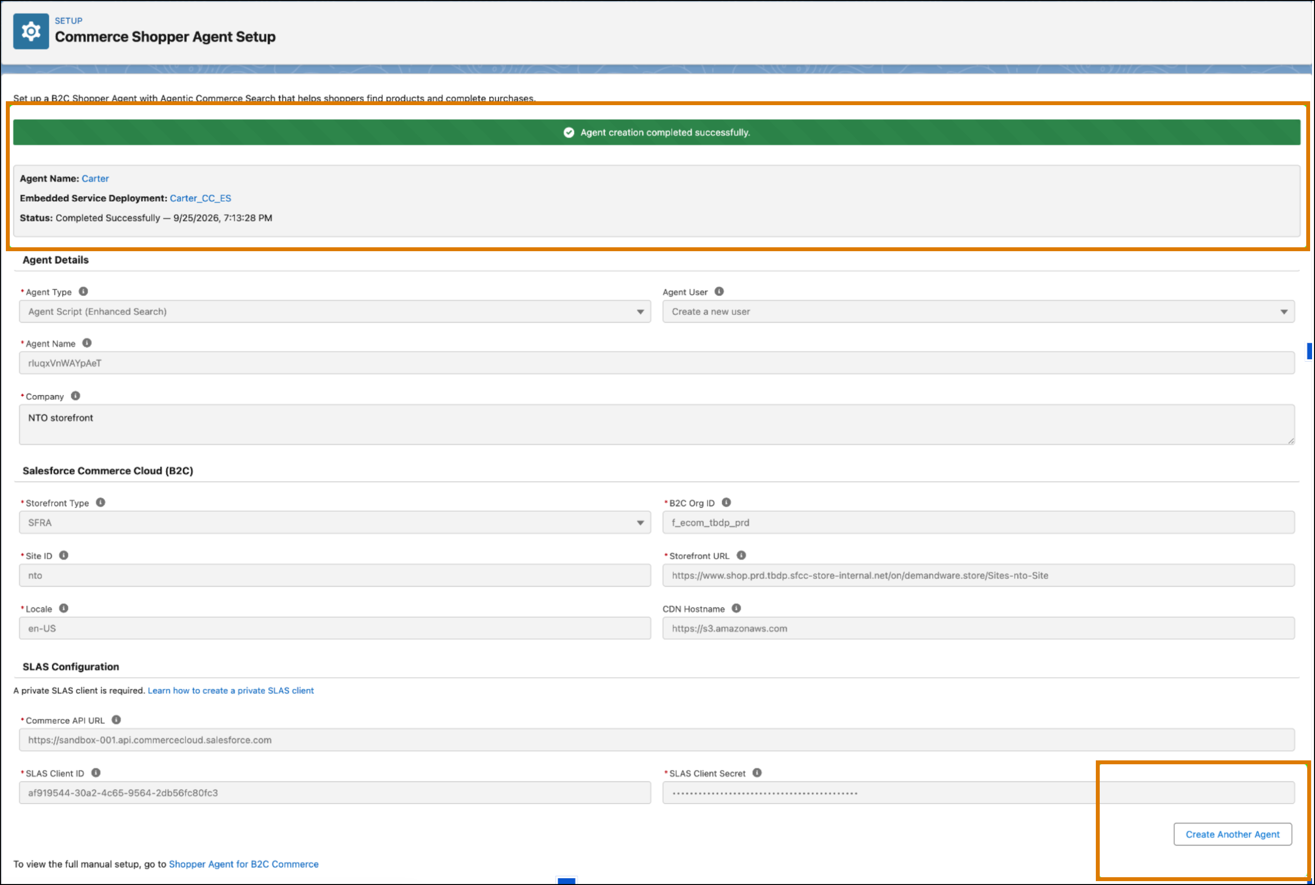 Agent setup page after creating an agent