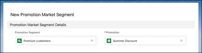 The Promotion Segment page, showing dropdown lists for specifying the Promotion Segment and the Promotion
