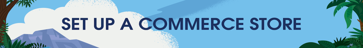 Banner showing the Set Up A Commerce Store title