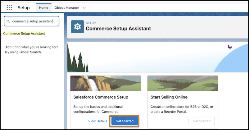 Commerce setup assistant