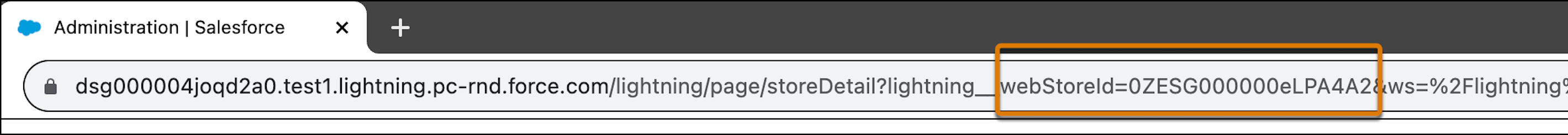 Webstore ID highlighted in a store URL.