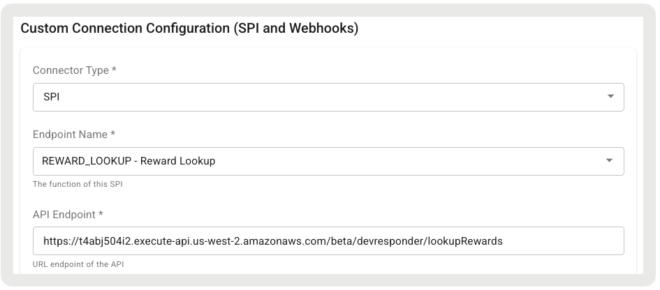A form displaying custom connection configuration details.