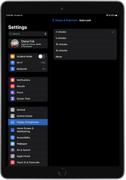 The Auto-lock settings on an iPad.