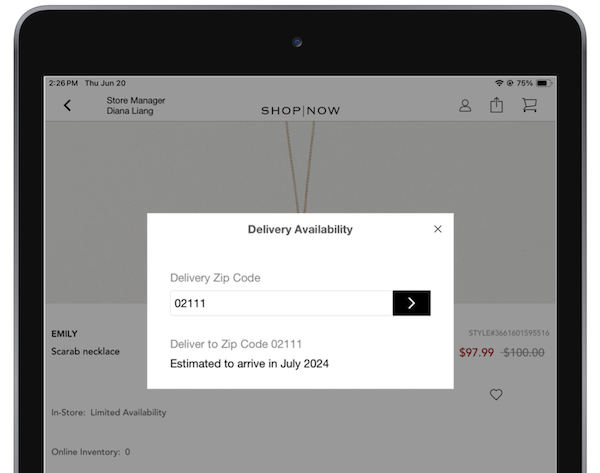 The Delivery Availability wundow in the POS app.
