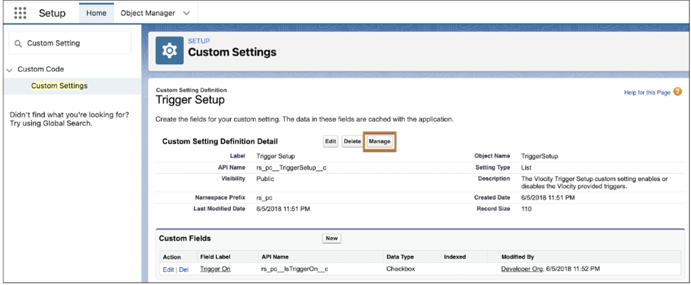 Custom Setting Definition Detail