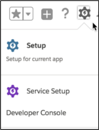 Setup icon