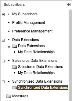Synchronized Data Extension folder in the Subscribers directory