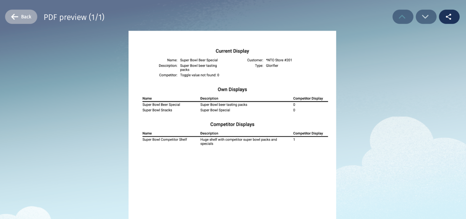The PDF report showing the details of current displays, other displays, and competitor displays.