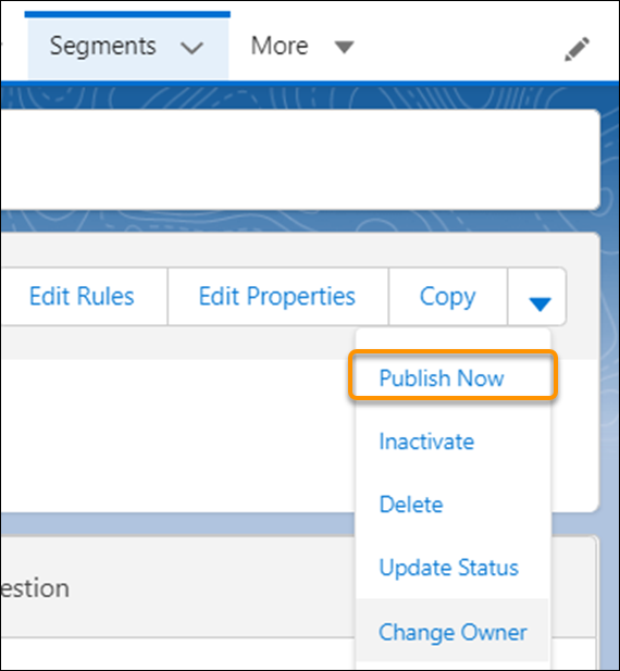 Publish now option from Segment details