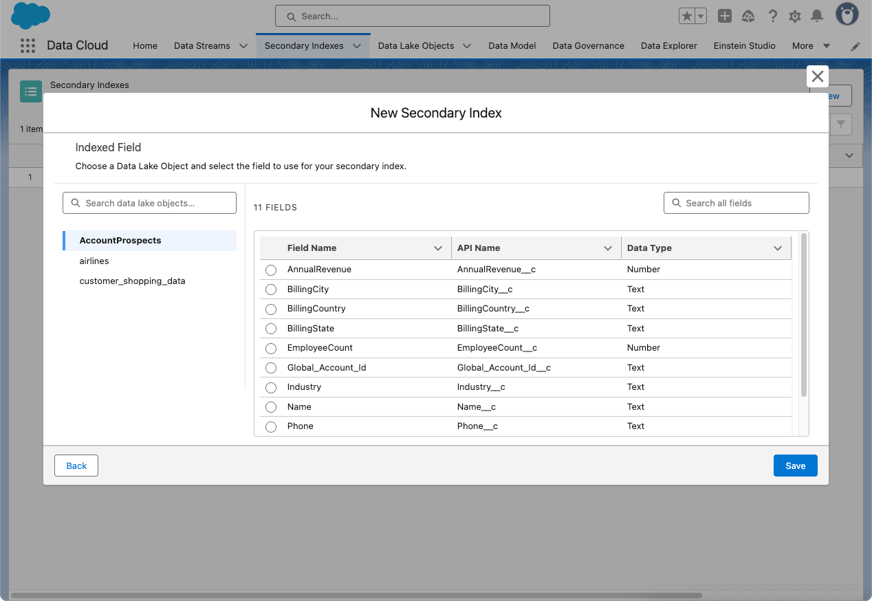 The create workflow showing the second step where the user chooses a DLO and the field to create a secondary index.