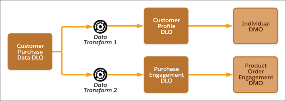 Diagram shows one DLO with two data transforms split into two DLOs.