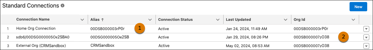 Alias for CRM connection.