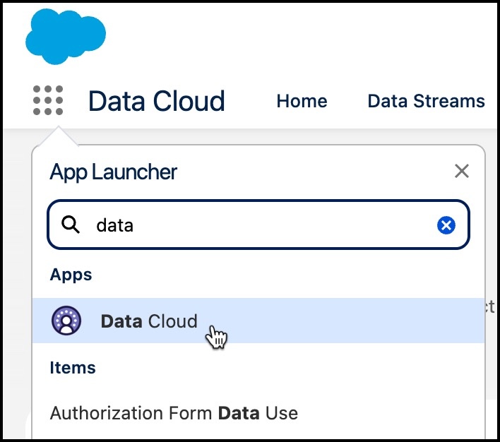 从应用程序启动程序查找 Data Cloud