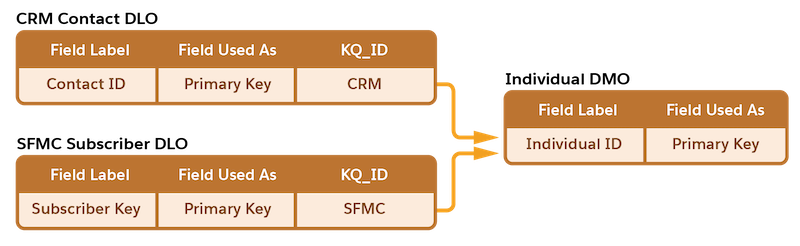 Image showing 2 DLO fields with key values mapped to Individual Id field.