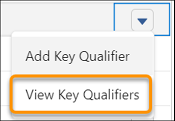 Image of viewing key qualifiers