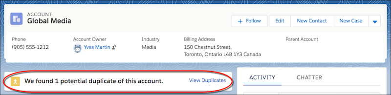 On a record detail page, duplicate alert in a card: We found 1 potential duplicate of this account. (link) View Duplicates