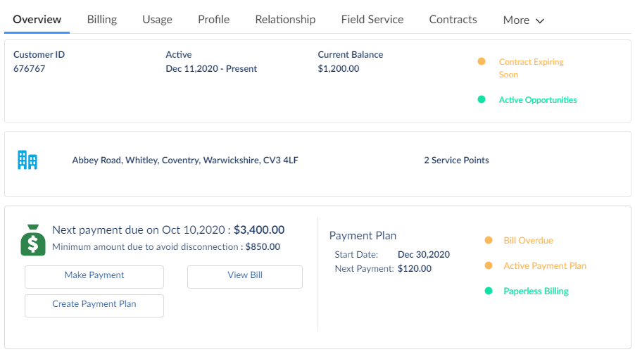 The middle panel of the Energy and Utilities Console displays customer information on several tabs such as Overview, Billing, Usage, Profile, Relationships, Contracts, Opportunities, and Service Points.