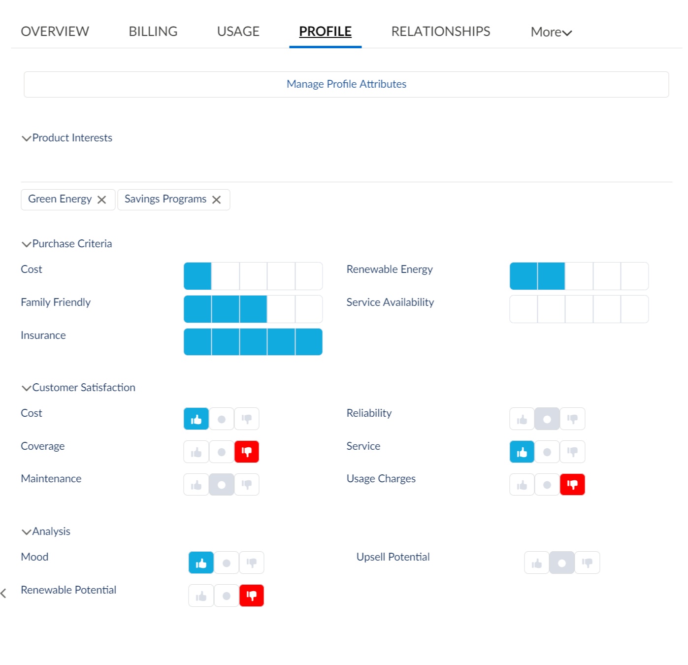 The Profile tab provides details about the customer's interests in specific energy-saving products or services.