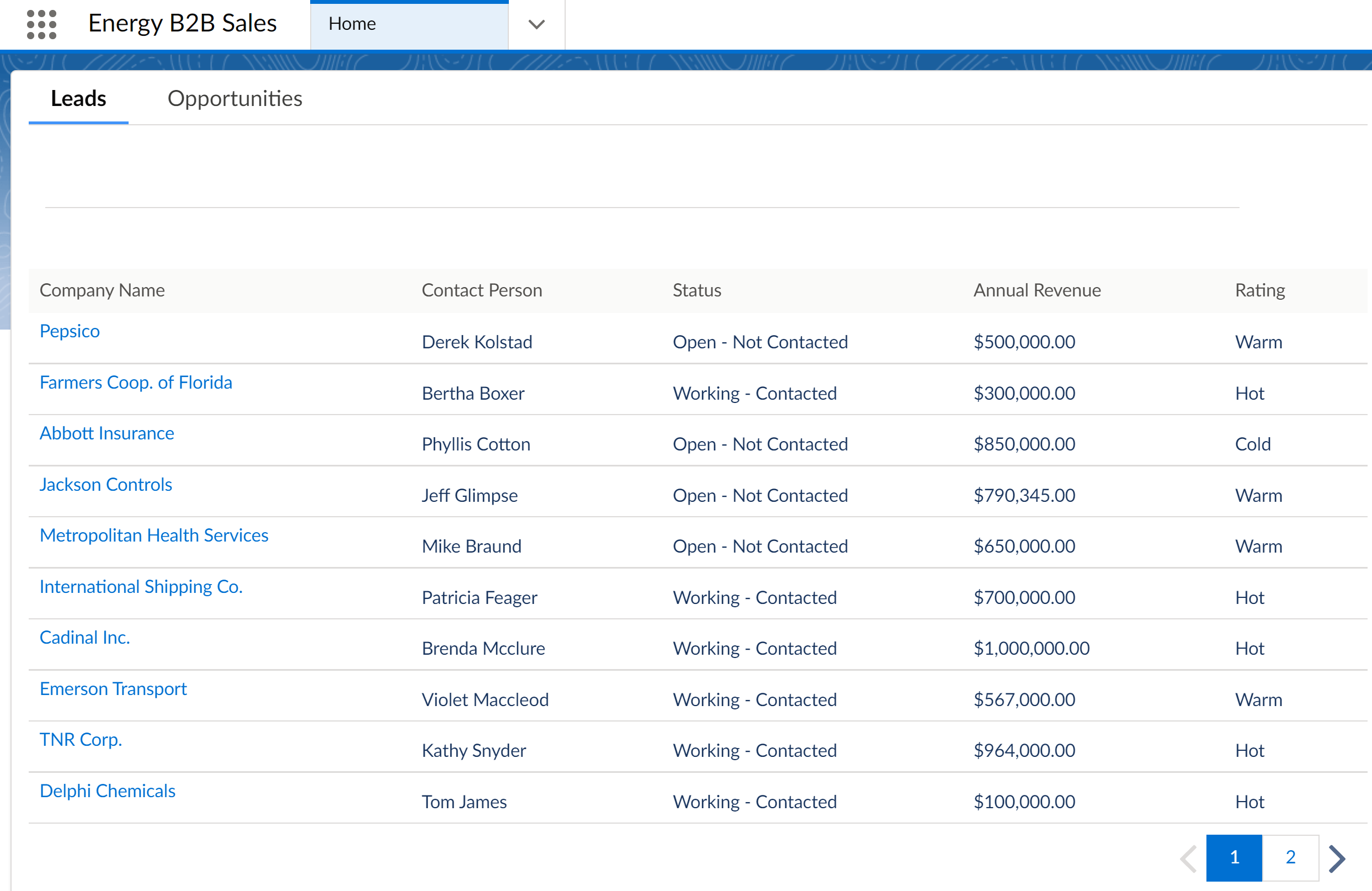 Leads tab for Energy & Utilities