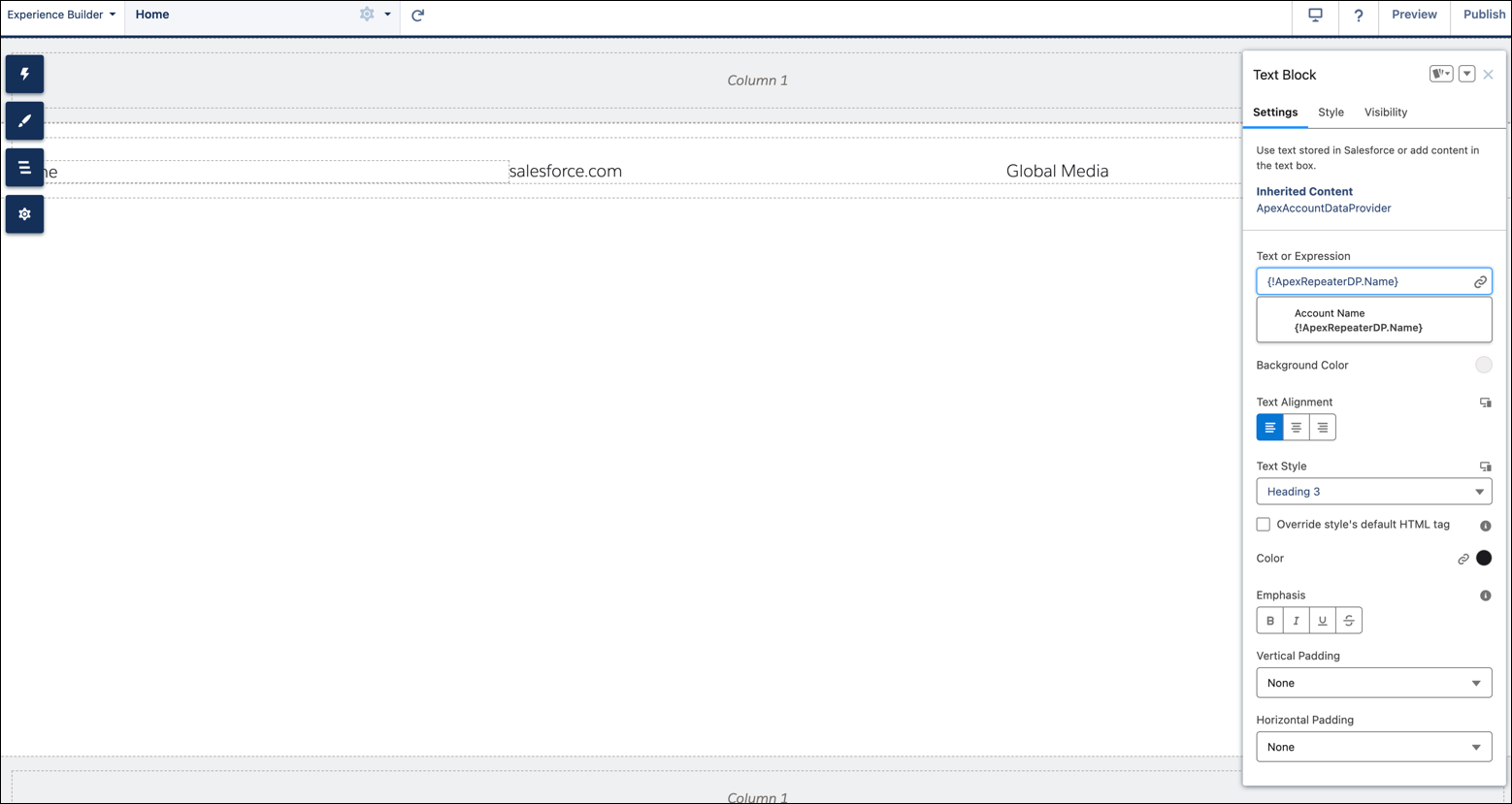 Data binding expression