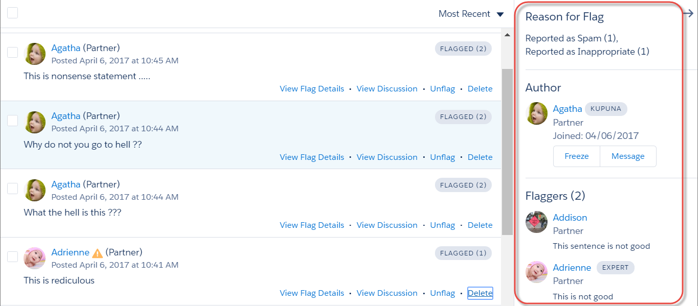 Flagged Discussion View Flag Details