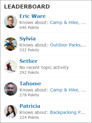 Reputation leaderboard with topics and points