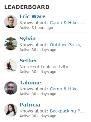 Reputation leaderboard with topics and last active