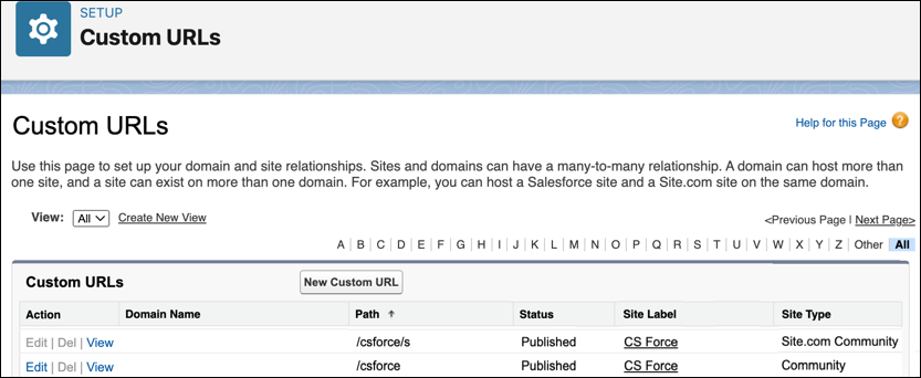 URL 更新前的自訂 URL 頁面