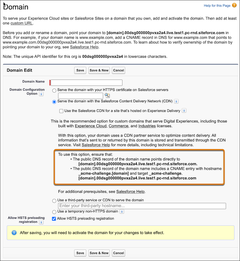 Domain page with the section that lists the format for the CNAME records.