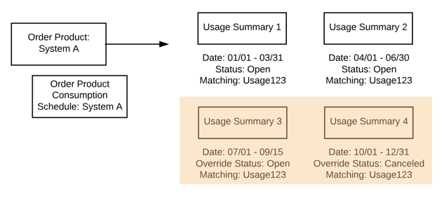 The same order product with two of its usage summaries updated